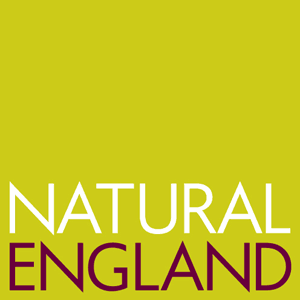 NE Publications